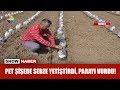 Pet şişede sebze yetiştirdi, parayı vurdu!