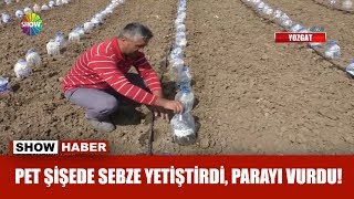 Pet şişede sebze yetiştirdi, parayı vurdu! Resimi