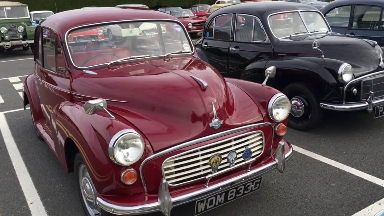 MMOC NI at Hillmount Nursery.