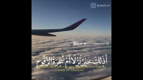 صوته يبكي قلبك - اجمل حالات واتس اب قران كريم بصوت جميل جدا