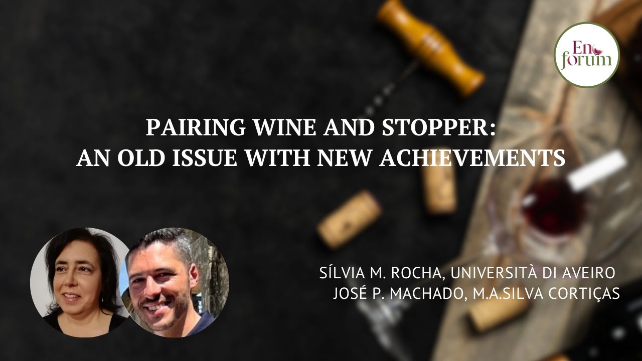 Pairing wine and stopper: an old issue with new achievements