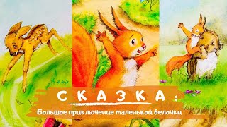 Большое приключение маленькой белочки! Сказки для малышей. Сказка.  Аудиосказка. МаксТВ.