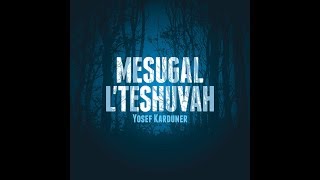 Video thumbnail of "Yosef Karduner - Hatzaddik Rebbi Natan"