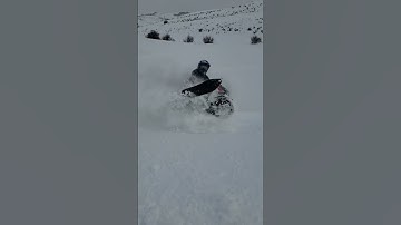 carve #shorts #polaris #snowmobile