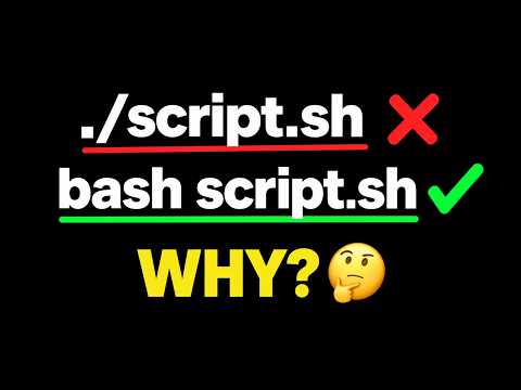 Why bash script.sh Works But ./script.sh Doesn't?