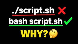 Why bash script.sh Works But ./script.sh Doesn't