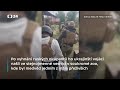Medvěd ušatý zachráněn z válečné zóny na Ukrajině