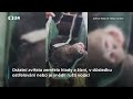 Medvěd ušatý zachráněn z válečné zóny na Ukrajině
