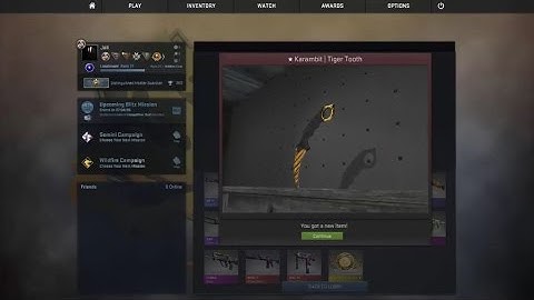 CS:GO Karambit Tiger Tooth Unboxing Real Life!