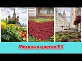 ГУМ в цветах!! Московское лето!!