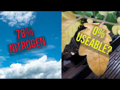 Your Plants Are SURROUNDED by Nitrogen... So Why Are They Starving?