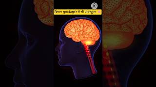 आपका दिमाग़ कैसे काम करता है जानिए 😱 #shortsfeed #amanzingfacts #rochaktathya #brainpower