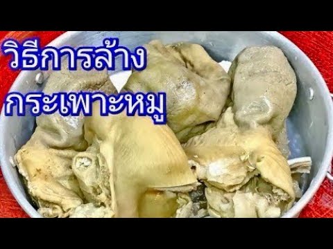 นายแทนเข้าครัว 434 | วิธีการล้างกระเพาะหมู ให้สะอาดใว้ทำอาหาร ต้องล้างละเอียดมาก | สไตล์นายแทน