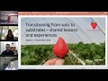 Transitioning from soils to substrates in strawberry production - Webinar recording