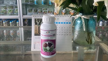 Thuốc nấm sinh học trichoderma dạng nước#thuocbvtv#caytrong#sinhhoc