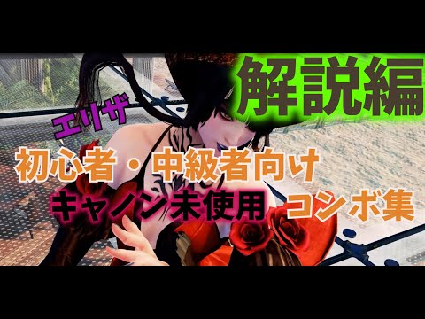 【鉄拳7】※解説編  ダークキャノン未使用 初心者・中級者向けコンボ集 【エリザ】