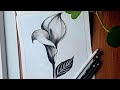 Learn Calla Lily Pencil Sketch step bt step | Shading Tutorial #pencilsketch #shading #charcoal