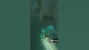 Savage Lynel Bow Location