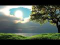 早晨輕音樂 ♫ 放鬆解壓鋼琴曲 🎹 美好一天的開始