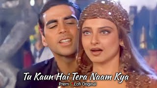 Tu Kaun Hai Tera Naam Kya | Kumar Sanu | Sadhana Sargam | Hindi Romantic Song | Hindi Lofi Song