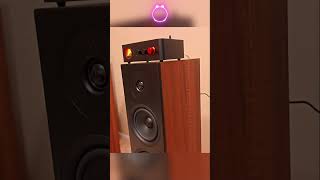 FOSI AUDIO MC351 ARGON FORUS 55 NICE SOUND QUALITY!!