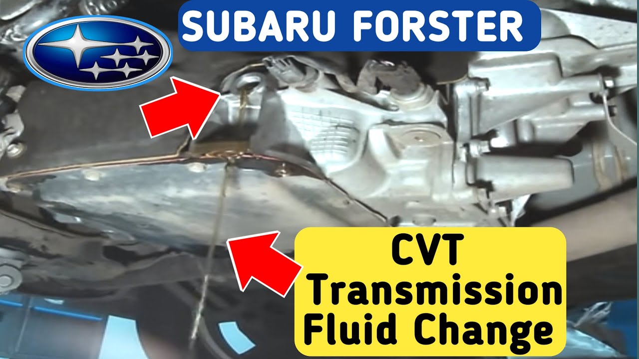 Sitemapcdatahttpthereferenznet2009 Subaru Forester Transmission Fluid