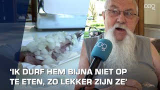 Hollandse Nieuwe weer verkrijgbaar “Ik durf ze bijna niet te eten, zo lekker zijn ze”