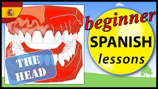 Parts of the head in Spanish | Beginner Spanish Lessons for Children by Spanish games 12,320 views 8 years ago 1 minute, 39 seconds