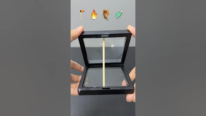 Which one will fit it?