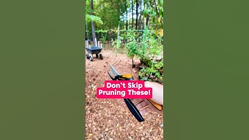 Don’t skip pruning these! Can you name it? #Shorts #FruitTrees #Pruning #Orchard #prune ￼