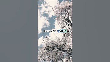 Find your purpose with Ikigai