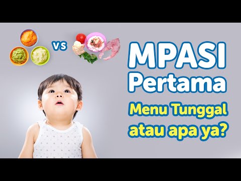 Menu Mpasi 6 Bulan 4 Bintang
