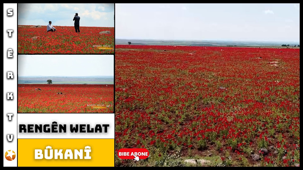Rengên Welat - Bûkanî