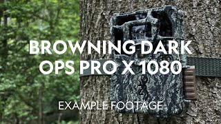 Example Footage | Browning Dark Ops Pro X 1080 Trail Camera