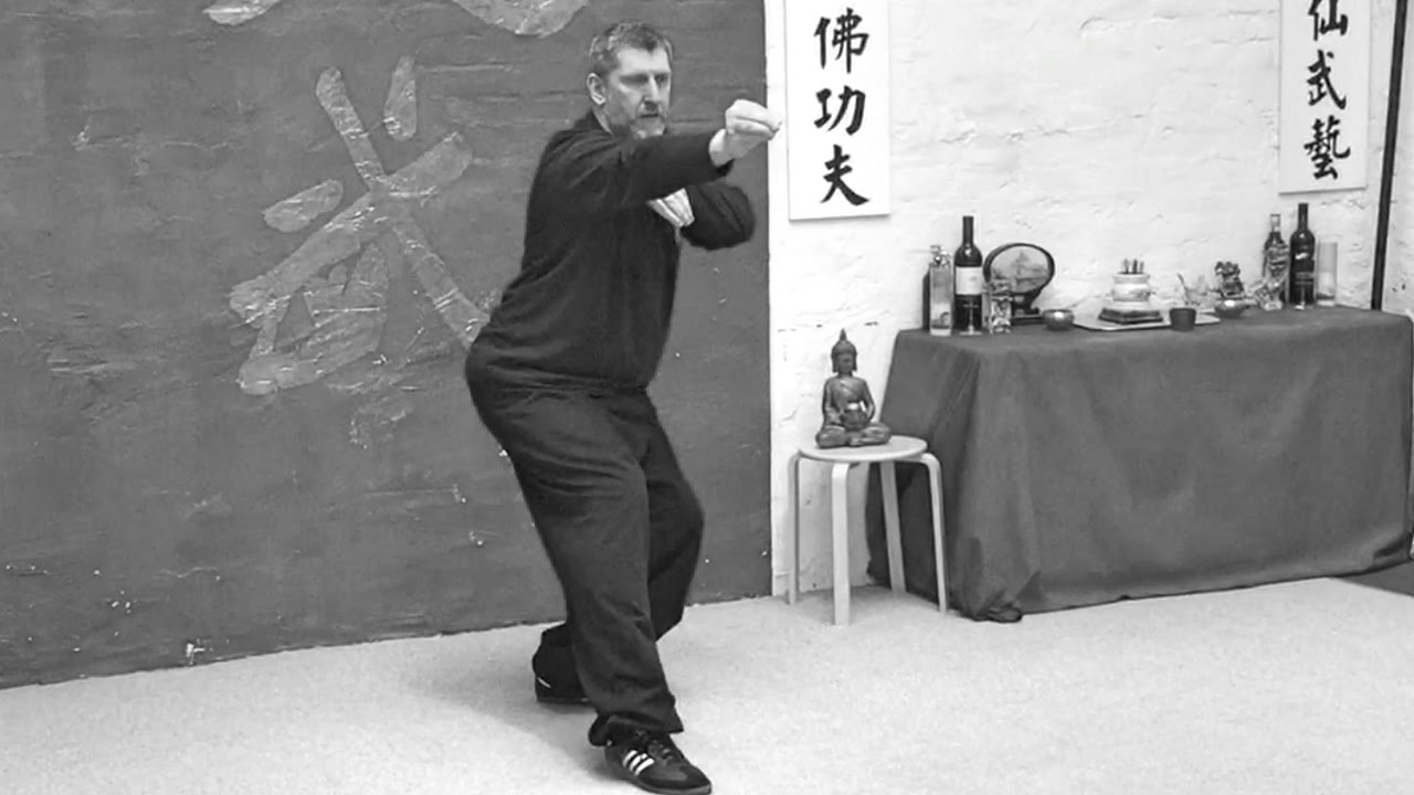Kung Fu Instructional  vol 1: Cat, crane snake combined fist 蛇猫鶴混形拳