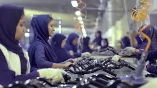 RMIL | DURANTA | Documentary