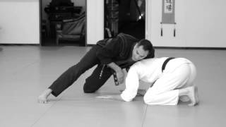 Brazilian Jiu Jitsu | Crash Course Trailer | Seminars | ROYDEAN.TV The Hidden Structure Of Jiu Jitsu Germany 2016 Roydean Tv