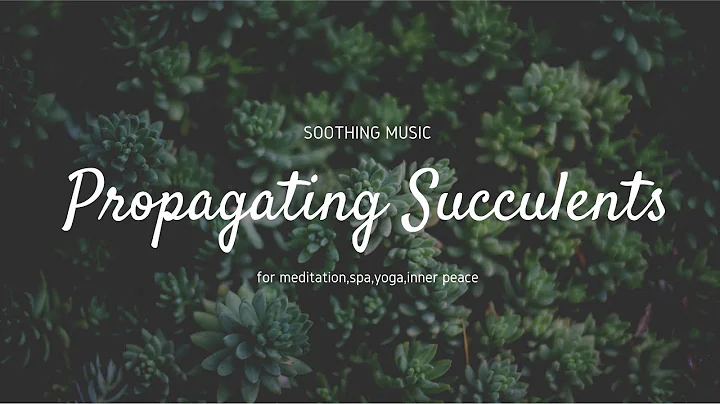 10 Hours Of Relaxing Saxophone Music For Sleep Deep Sleep Fade To Black Dark Screen