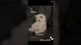 Did you guessed it right| #bts #army #ot7 #rmjinsugajhopejiminvjungkook @Army_cupcake7