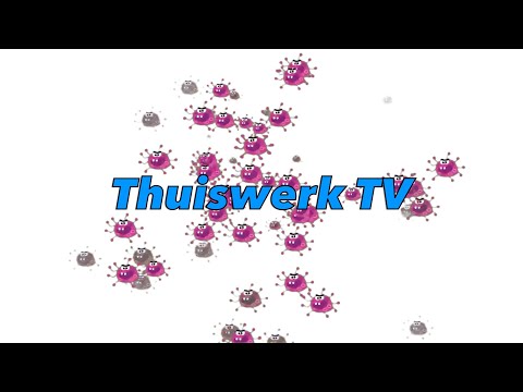 Pameijer Media - Thuiswerk TV