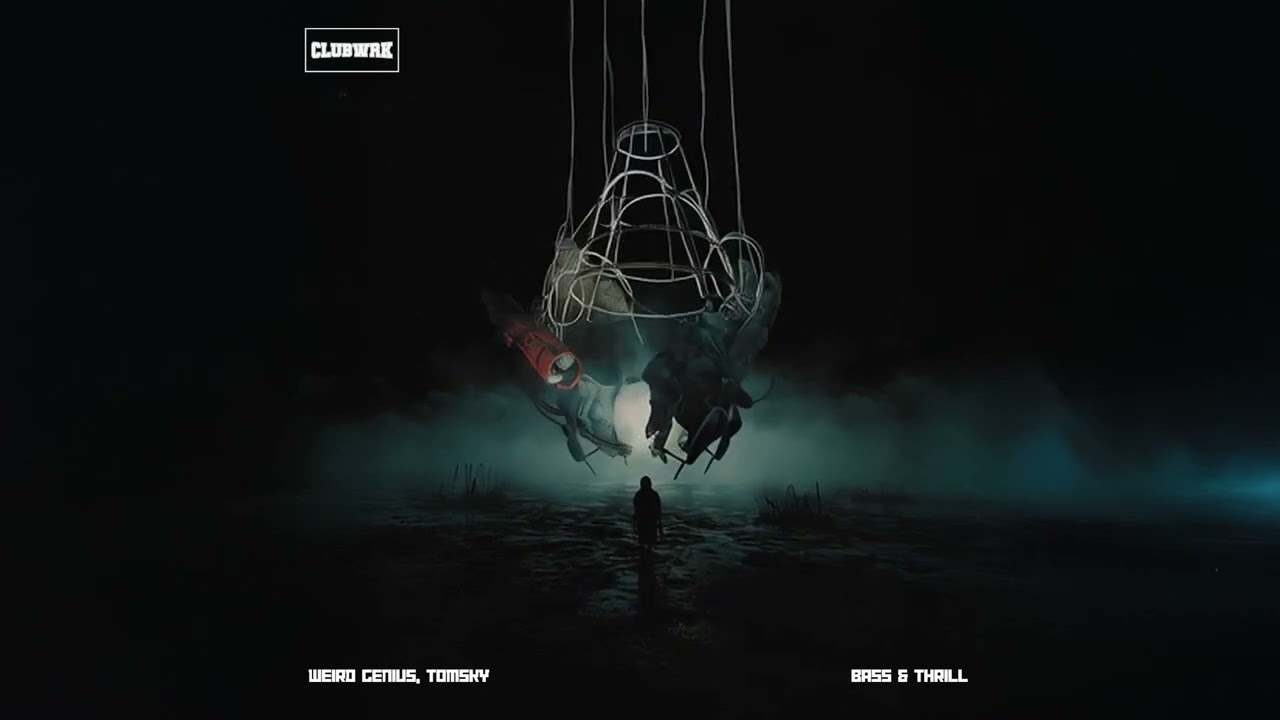 Weird Genius & Tomsky - Bass & Thrill (Visualizer)