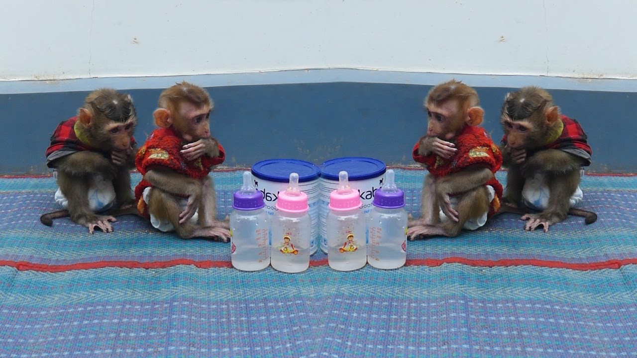 So Silently Two Adorable Sit Wait Mom Mixed Milk