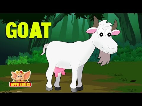 Animal Sounds - Goat