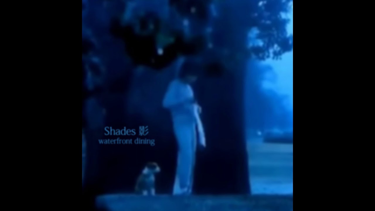 camera iphone 8 plus apk waterfront dining - watch out