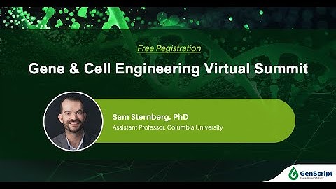Targeted DNA integration without double strand breaks using CRISPR RNA guided transposons