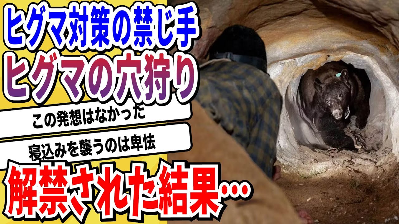 【2ch動物スレ】自然界のフィジカルモンスター「ヒグマ」ついにあの禁じ手が解禁されてしまう→ヒトカスのやり口が卑怯すぎると話題にwwwww【なんj】