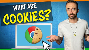 How do I view my cookies on Google?