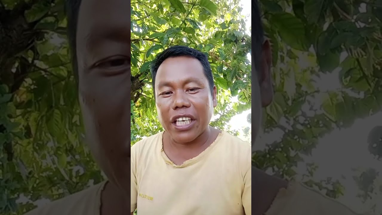 အမတ်ကြီးဦးေပါ်ဦးရဲ့ ဖြတ်ထိုးဉာဏ်