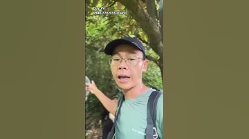 Đi bộ leo lên đỉnh Núi Cấm phía Sốc Tức An Giang #diboleonui #suckhoe