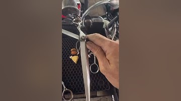 A scissor case is no substitute for a dedicated scissor mat.